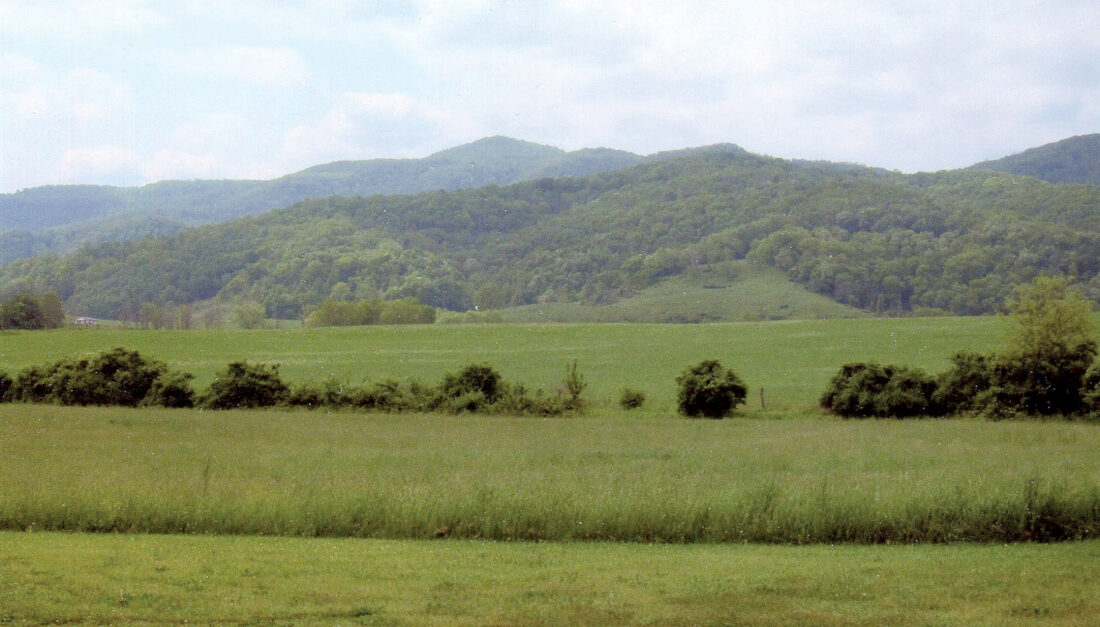 Hillsboro News, Sports, Jobs The Intermountain